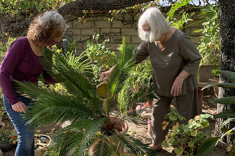 Connecting with Seniors - Gardening